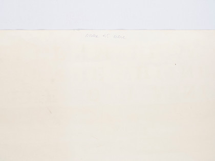 Two Flags (Whitney Anniversary) - Jasper Johns - 1980