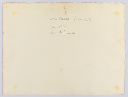 Rosa assoluto - Riccardo Guarneri - 1988
