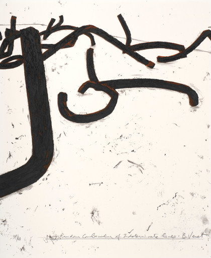 Lotto 229 - Bernar Venet