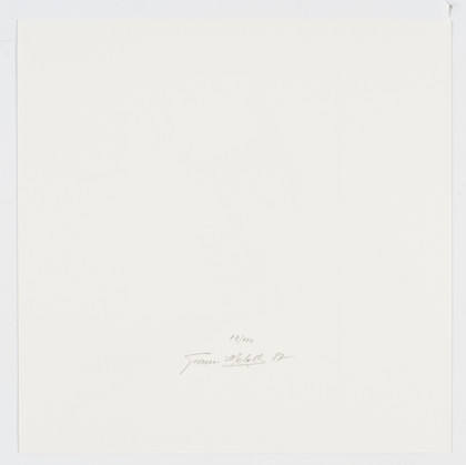 Colore-forma spaziocondizionanti: l'immagine costruita -    Cartella Grafiche - 1987