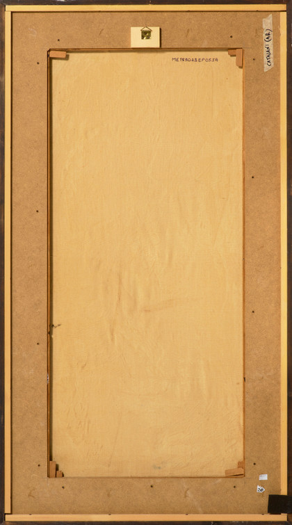 La pelle - Giulio Turcato - 1964-65