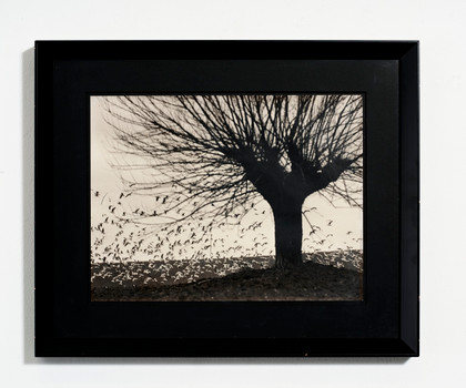 Senza titolo - Mario Giacomelli