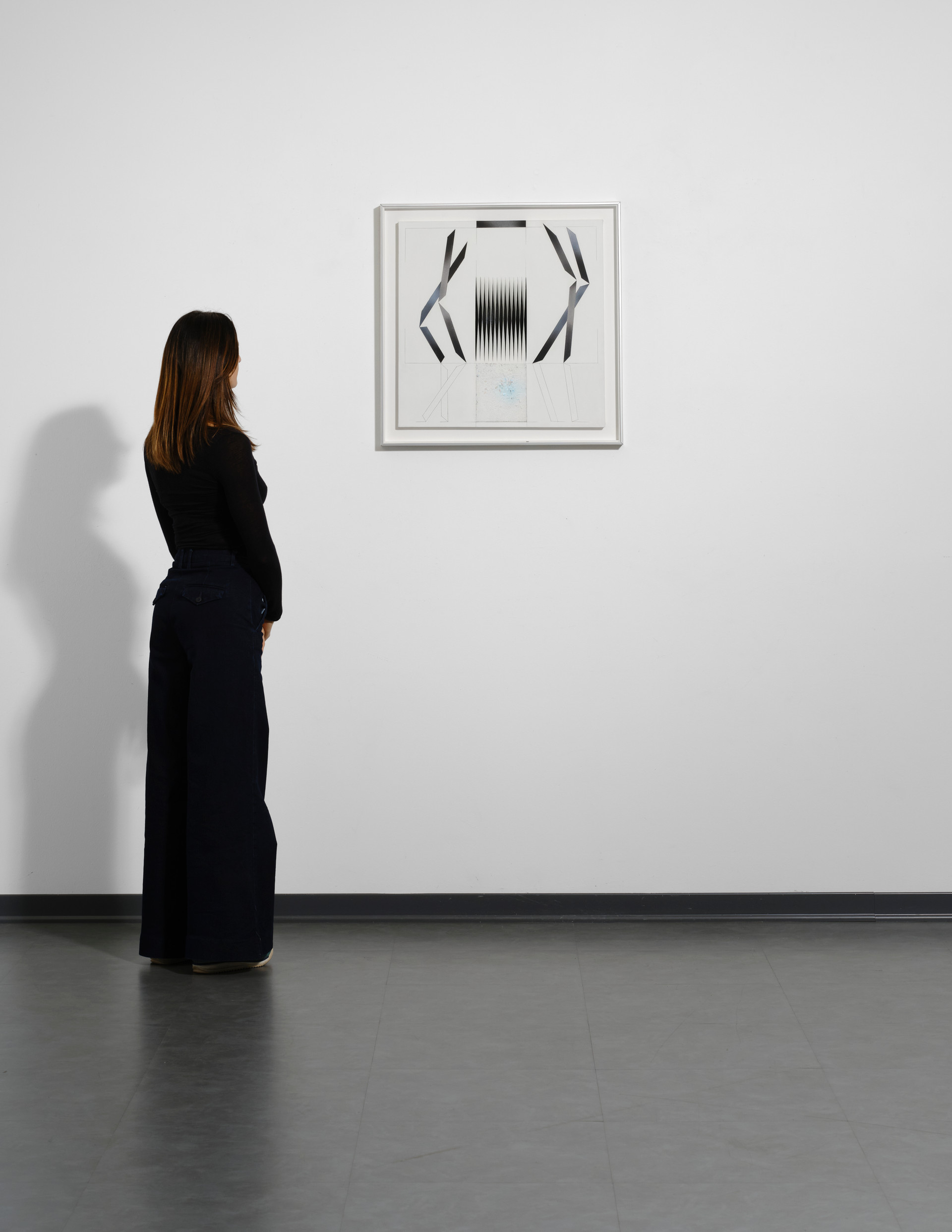 Balletto di fenicotteri - Alberto Biasi - 2000