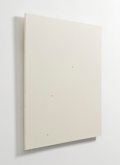 Random objectivation - Herman De Vries - 1972
