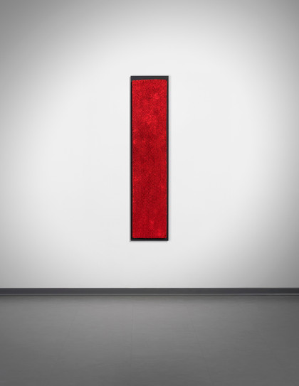 Alvéoles - Bernard Aubertin - 1990