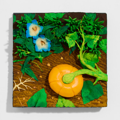 Ibisco e melone - Piero Gilardi