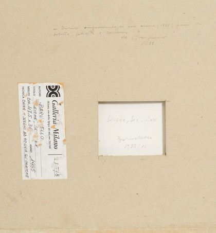 Seiche, Sec, Sex - Gianfranco Baruchello - 1985