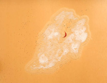 Untitled - Pier Paolo Calzolari - 1969
