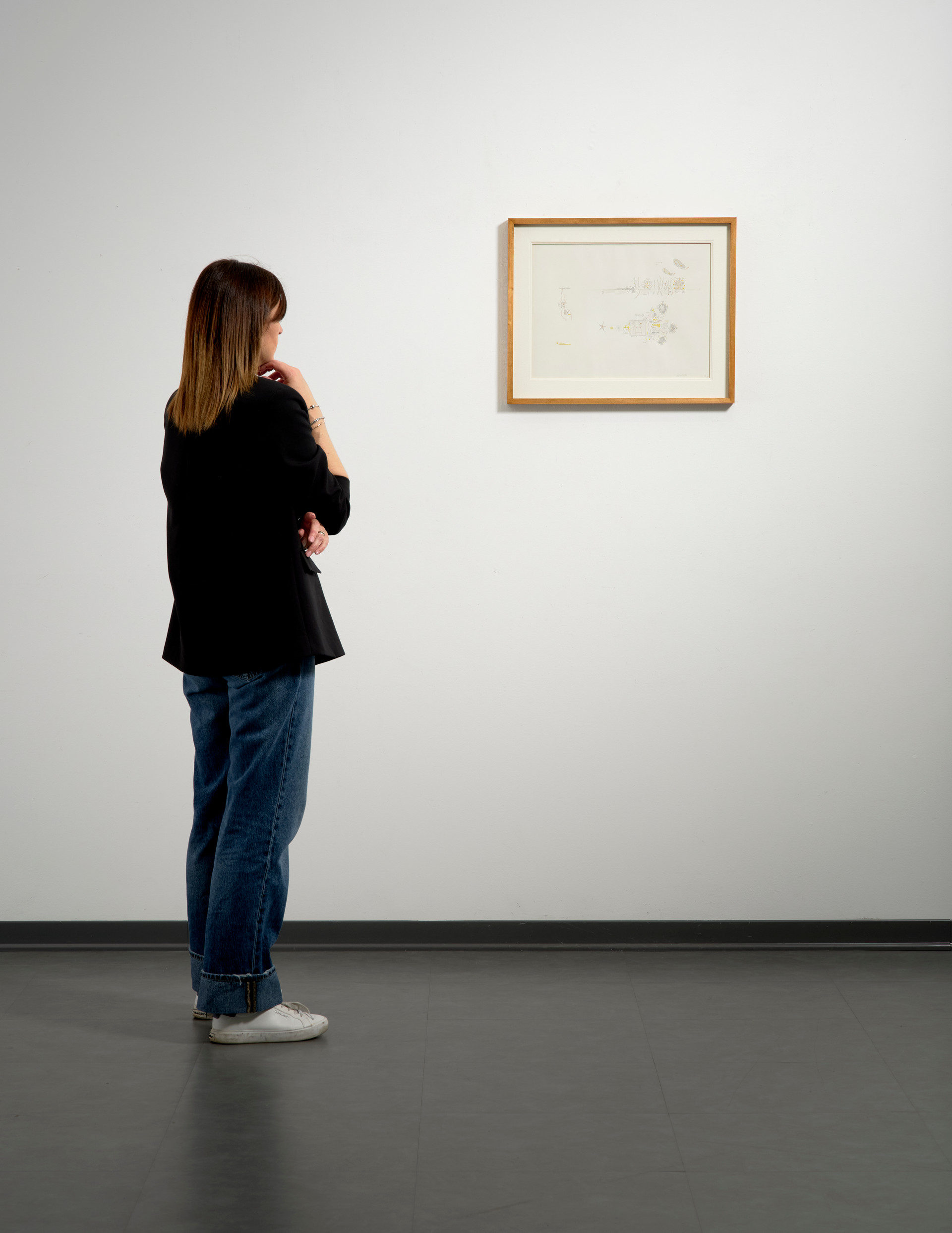Seiche, Sec, Sex - Gianfranco Baruchello - 1985
