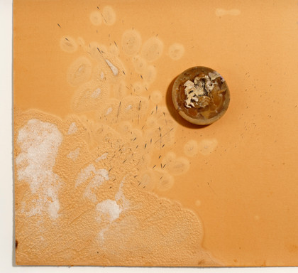 Untitled - Pier Paolo Calzolari - 1969