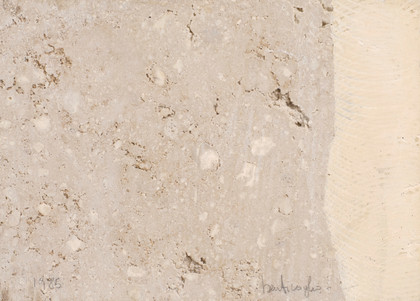 Untitled (veined egg book) - Mirella Bentivoglio - 1985