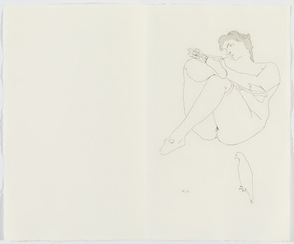The large glass and related works volume Two - Marcel Duchamp - 1968