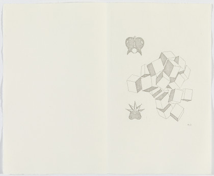 The large glass and related works volume Two - Marcel Duchamp - 1968