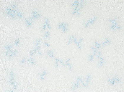 Costellazioni - Dadamaino - 1984