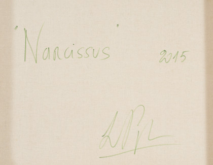 Narcissus - Lorenzo Puglisi - 2015