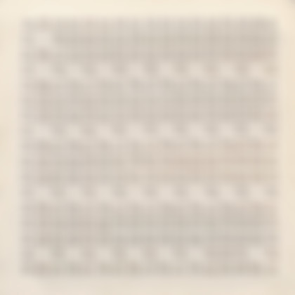 Lot 21 - César Andrade