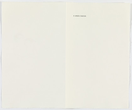 The large glass and related works volume Two - Marcel Duchamp - 1968
