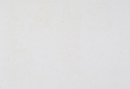 Übermalte Bild - Lithographen, - Hermann Nitsch - 1991